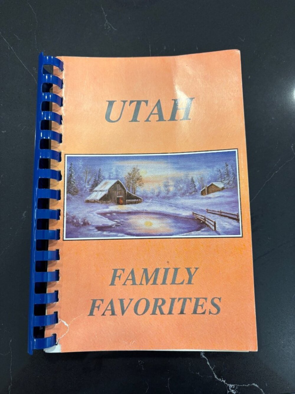 Utah Family Favorites Spiral Bound Cookbook 1989 Fundcraft Publishing Cooking